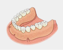 総入れ歯